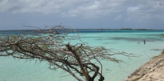 Aruba: Clima e Temperature. L’isola dalle spiagge bianchissime Aruba clima quando andare