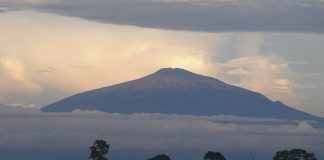 Camerun: Clima e Temperature. Il Paese dalle numerose fasce climatiche CAMERUN CLIMA TEMPERATURE