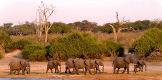 Botswana: Clima e Temperature. Il più grande produttore di diamanti in Africa botswana clima temperature