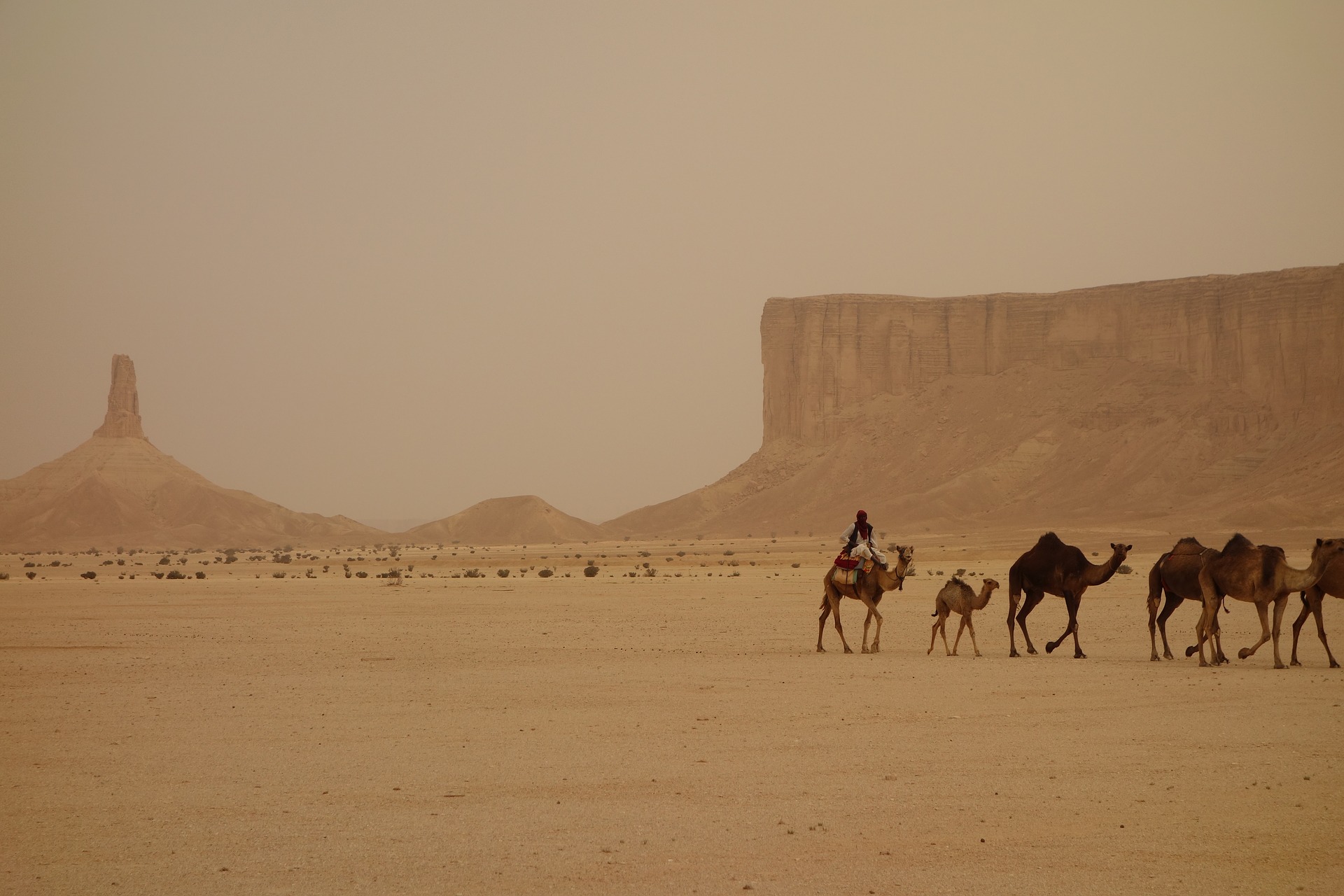 clima arabia saudita quando andare