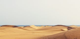 Gran Canaria: Clima e Temperature. L’isola divisa tra verde e deserto gran canaria clima temperature