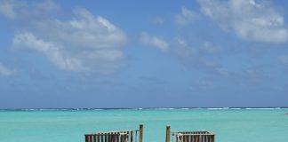 Bonaire: Clima e Temperature. Un’isola ricca di coralli BONAIRE CLIMA TEMPERATURE