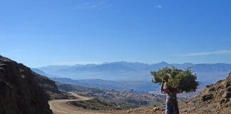 Ciad: Clima e Temperature. Il Paese del lago che sta scomparendo ciad clima temperature