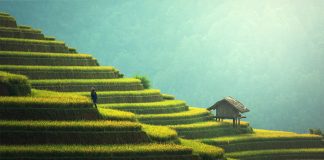 Cambogia: Clima e Temperature. Il Paese che raccoglie molti fiumi! clima cambogia quando andare