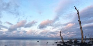 Gabon: Clima e Temperature. Il Paese attraversato dall’Equatore! gabon clima