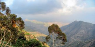 Eritrea: Clima e Temperature. Il Paese del Corno d’Africa clima eritrea