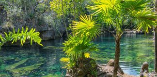 Yucatan: Clima e Temperature. La penisola degli antichi Maya yucatan clima e temperature