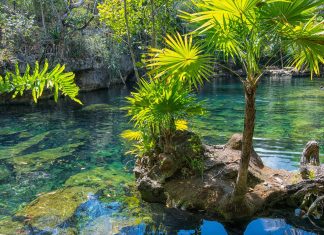 Yucatan: Clima e Temperature. La penisola degli antichi Maya yucatan clima e temperature