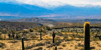 Argentina: Clima e Temperature. Il secondo Stato più esteso dell’America Latina argentina clima quando andare