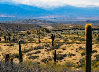 Argentina: Clima e Temperature. Il secondo Stato più esteso dell’America Latina argentina clima quando andare