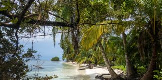 Panama: Clima e Temperature. Un Paese transcontinentale clima panama