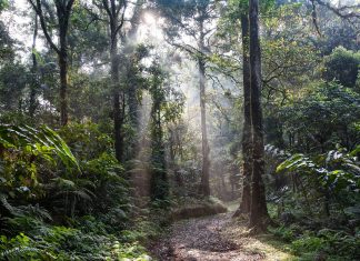Indonesia Quando Andare: lo Stato arcipelago indonesia quando andare clima