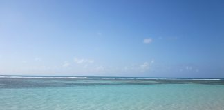 Clima Guadalupa e Temperature. L’isola più grande delle Piccole Antille clima guadalupe