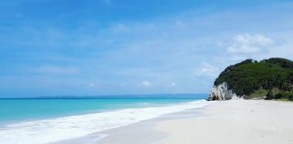 Haiti: Clima e Temperature. Tra i primi Paesi a conquistare l’indipendenza clima haiti
