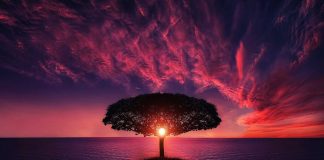 Niue: Clima e Temperature. Una delle più grandi isole coralline del mondo niue clima