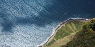 Madeira: Clima e Temperature. Le isole dell’eterna primavera CLIMA MADEIRA