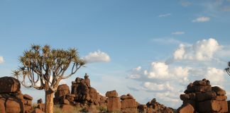 Mali: Clima e Temperature. Il Paese del deserto e della savana MALI CLIMA
