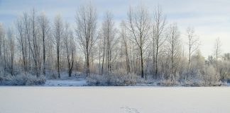 Siberia: Clima e Temperature. La regione dominata dal freddo SIBERIA CLIMA