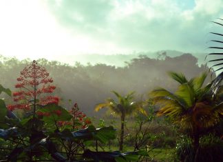 Guyana Francese: Clima e Temperature. Il dipartimento d’oltremare della Francia clima Guyana Francese