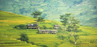 Malesia Quando Andare: il Paese con le foreste più antiche del mondo VIAGGIO IN MALESIA QUANDO ANDARE