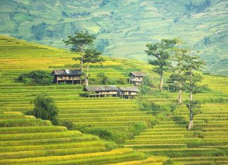 Malesia Quando Andare: il Paese con le foreste più antiche del mondo VIAGGIO IN MALESIA QUANDO ANDARE