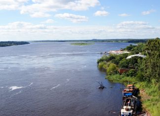 Paraguay: Clima e Temperature. Il Paese con le cicogne più grandi al mondo. Paraguay clima