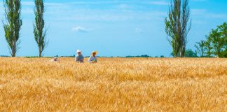 Ucraina: Clima e Temperature. Il Paese con uno dei luoghi più romantici al mondo. Ucraina clima