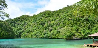 Palau: Clima e Temperature. La terra che si tinge di verde. palau clima