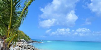 Saint Martin: Clima e Temperature. Un’esplosione di colore, tra sfumature di blu e verde. saint martin clima