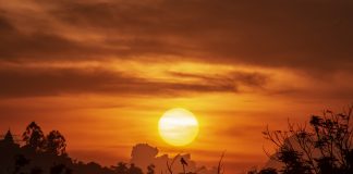 Uganda: Clima e Temperature. La terra dei rarissimi gorilla di montagna. uganda clima