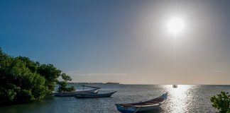 Venezuela: Clima e Temperature. Il Paese con la cascata più alta al mondo. venezuela clima
