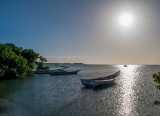 Venezuela: Clima e Temperature. Il Paese con la cascata più alta al mondo. venezuela clima