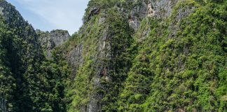 Isole Phi Phi: Clima e Temperature. Un paradiso naturale. Isole Phi Phi clima