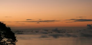 Suriname: Clima e Temperature. La terra dalla meravigliosa riserva naturale. suriname clima