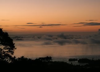 Suriname: Clima e Temperature. La terra dalla meravigliosa riserva naturale. suriname clima