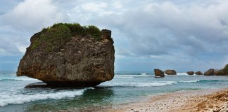 Barbados quando andare. La isole tropicali famose per la produzione del Rum! barbados quando andare