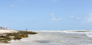 Djerba: Clima e Temperature. L’isola con una delle sinagoghe più antiche del pianeta. djerba clima