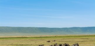 Ngorongoro: Clima e Temperature. Una meravigliosa riserva naturale. viaggio in Ngorongoro