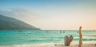 Thailandia: Clima e Temperature. Il Paese che ama gli elefanti. viaggio in Thailandia
