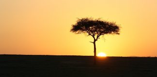 Masai Mara: Clima e Temperature. Un’eccezionale zona protetta della savana. viaggio nel masai mara