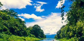 Honduras quando andare? Scopri il Paese delle piantagioni di caffé! Honduras quando andare