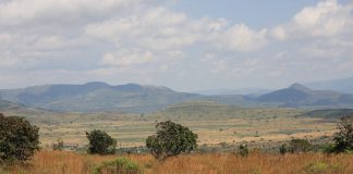 Sudafrica quando andare? Scopri il paese dei prestigiosi vini! Sudafrica quando andare