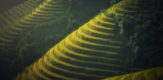 Vietnam quando andare? Scopri il paese invaso dai motorini! vietnam-quando-andare