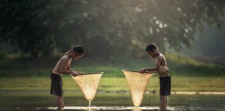 Laos quando andare: le meraviglie del verde Laos quando andare