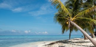 Belize quando andare: civiltà nascoste e barriera corallina Belize quando andare