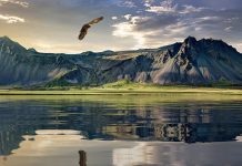 Nuova Zelanda quando andare: una natura mozzafiato nuova zelanda quando andare