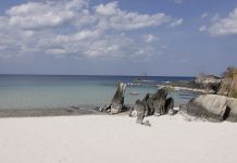 Mozambico quando andare: per chi ama la natura Mozambico quando andare