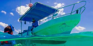 Cancun quando andare: immergiti nello spettacolo Cancun quando andare