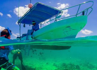 Cancun quando andare: immergiti nello spettacolo Cancun quando andare