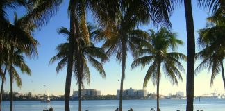 Miami quando andare: la lunga estate statunitense Miami quando andare